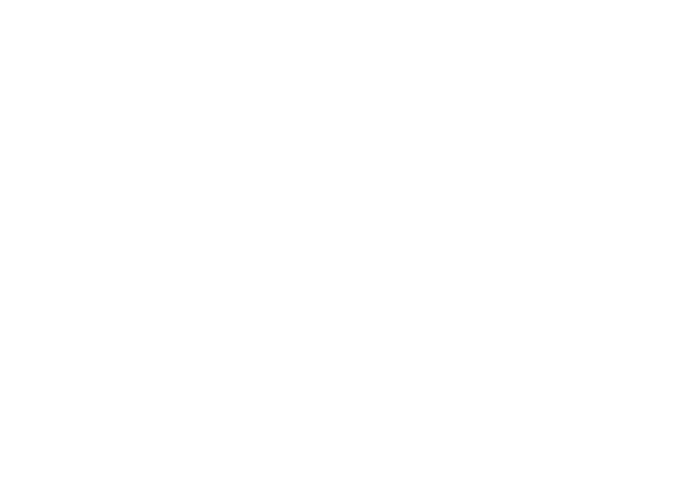 Logo 2XI